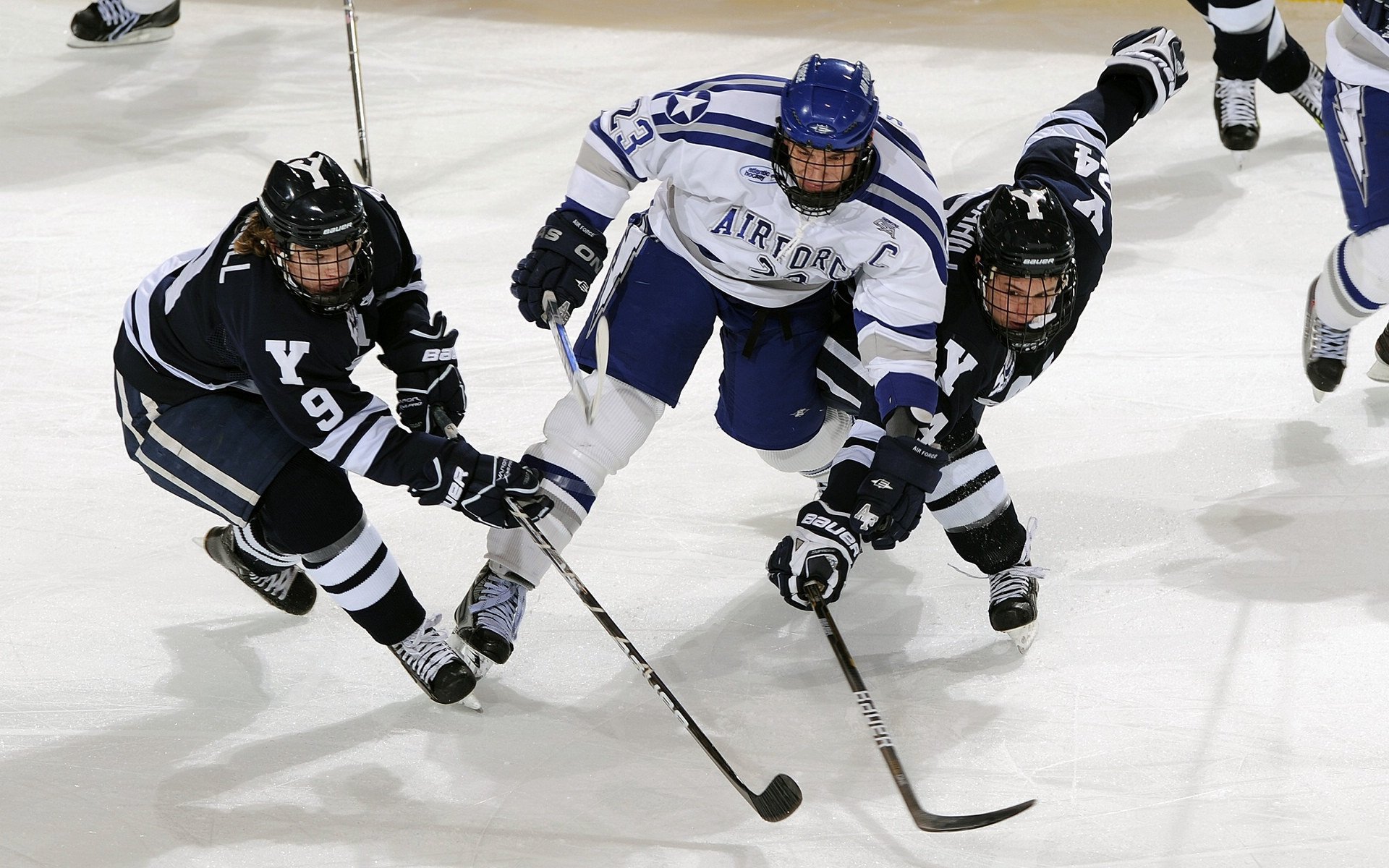 世界网球排名最新更新，世界网球选手最新排名